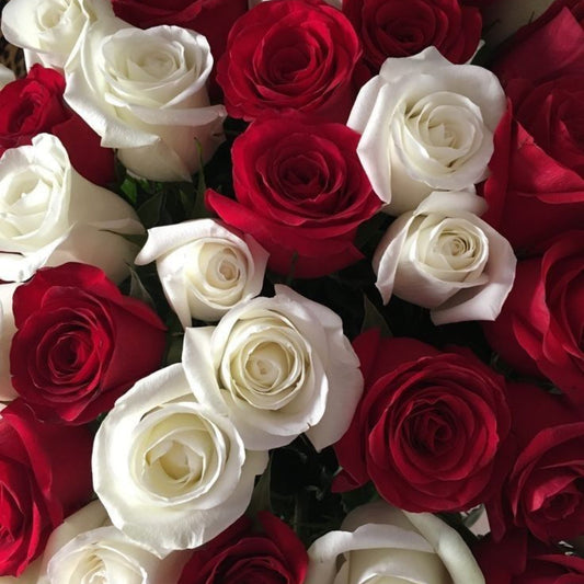 Rose Bouquet “Red & White”