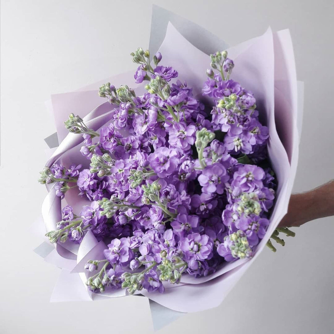 Mono Bouquet “Stock”