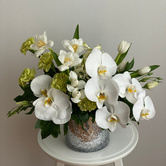 Flowers in a pot “Elegant Orchid”