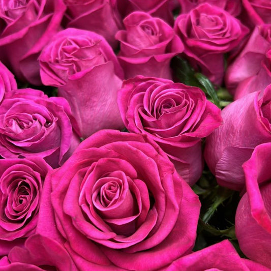 Rose Bouquet “Hot Pink”