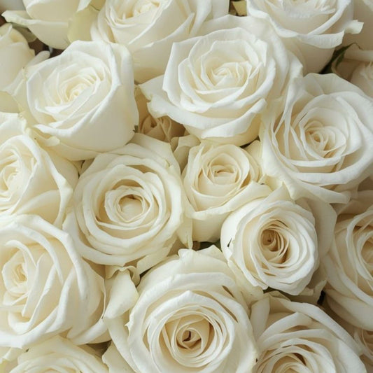 Rose Bouquet “White”
