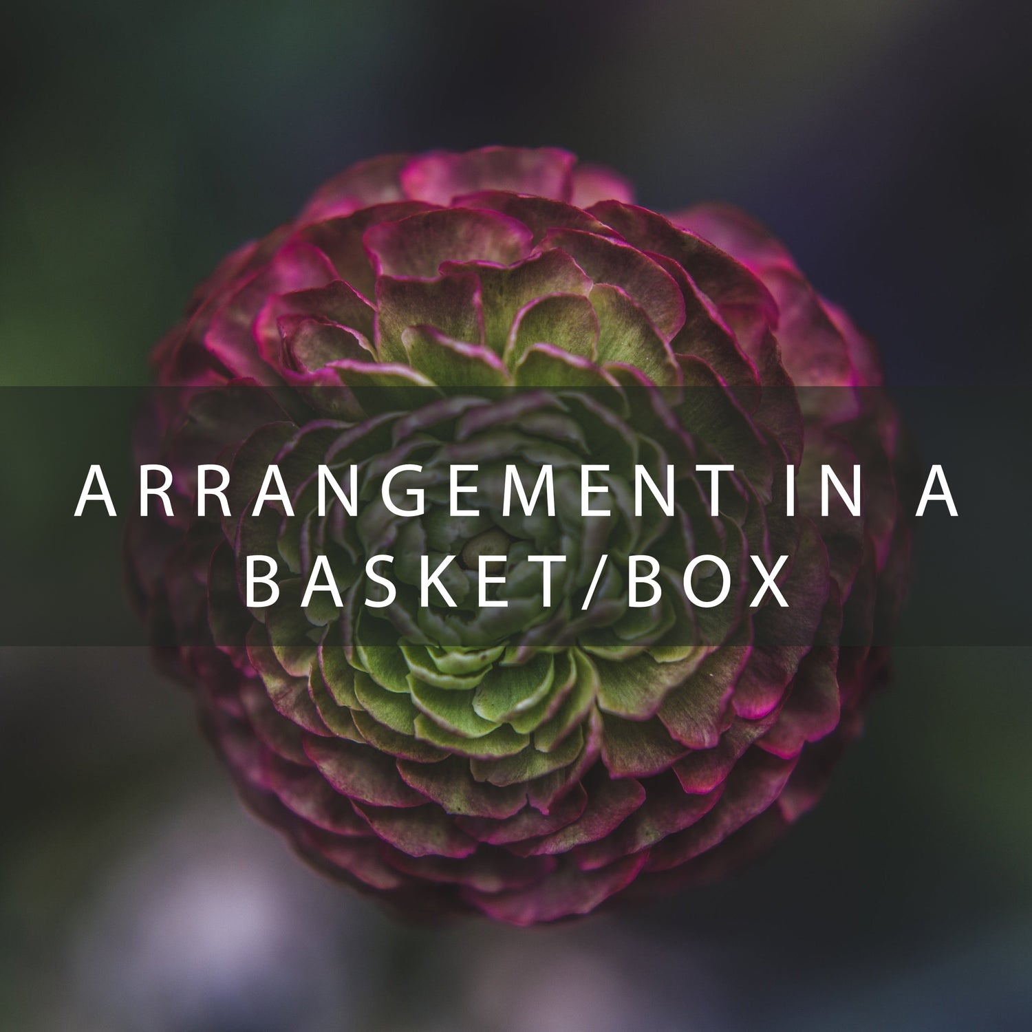 Arrangement in a basket/box