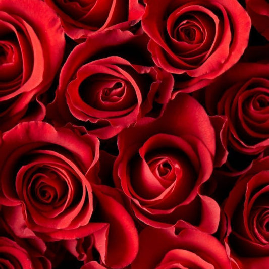 Rose Bouquet “Red”