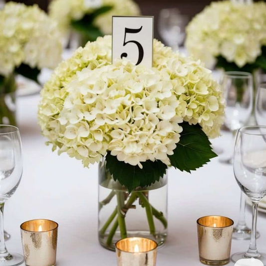 Flowers in a Vase “White Hydrangeas”