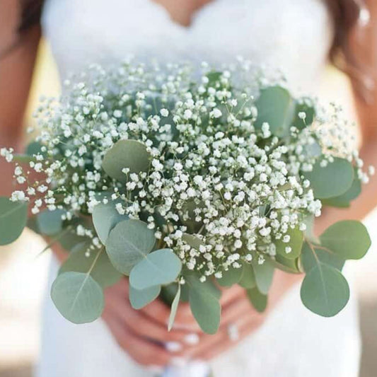 Bridal Bouquet “Baby’s Breath & Eucalyptus”