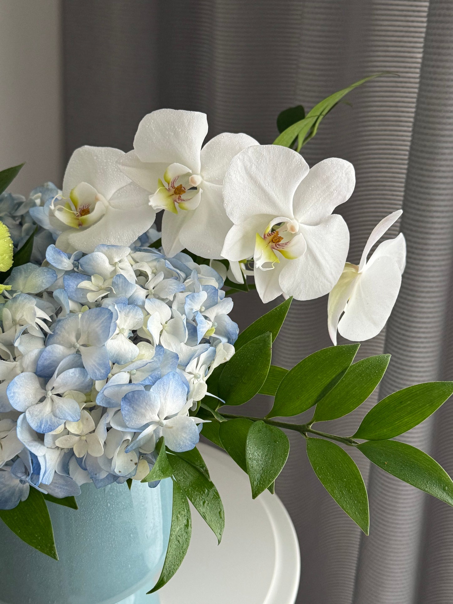 Flowers in a pot “White Orchid”