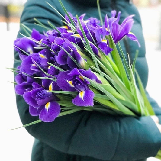 Iris bouquet “Purple Dream”