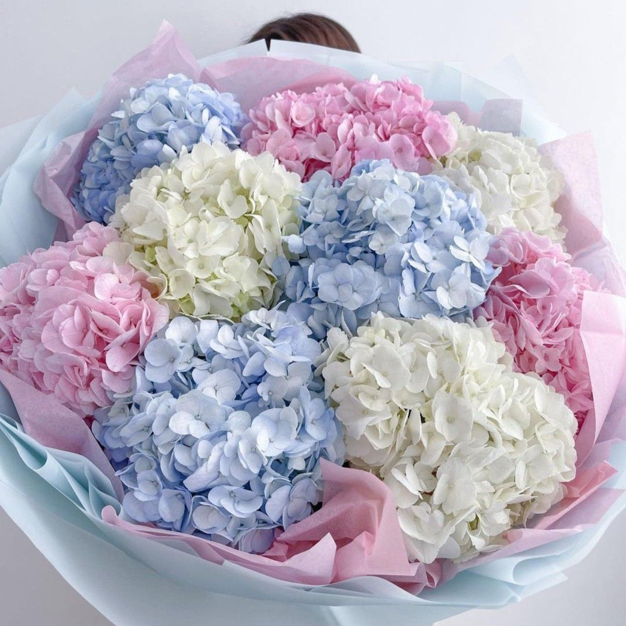 Mono Bouquet “Hydrangeas”