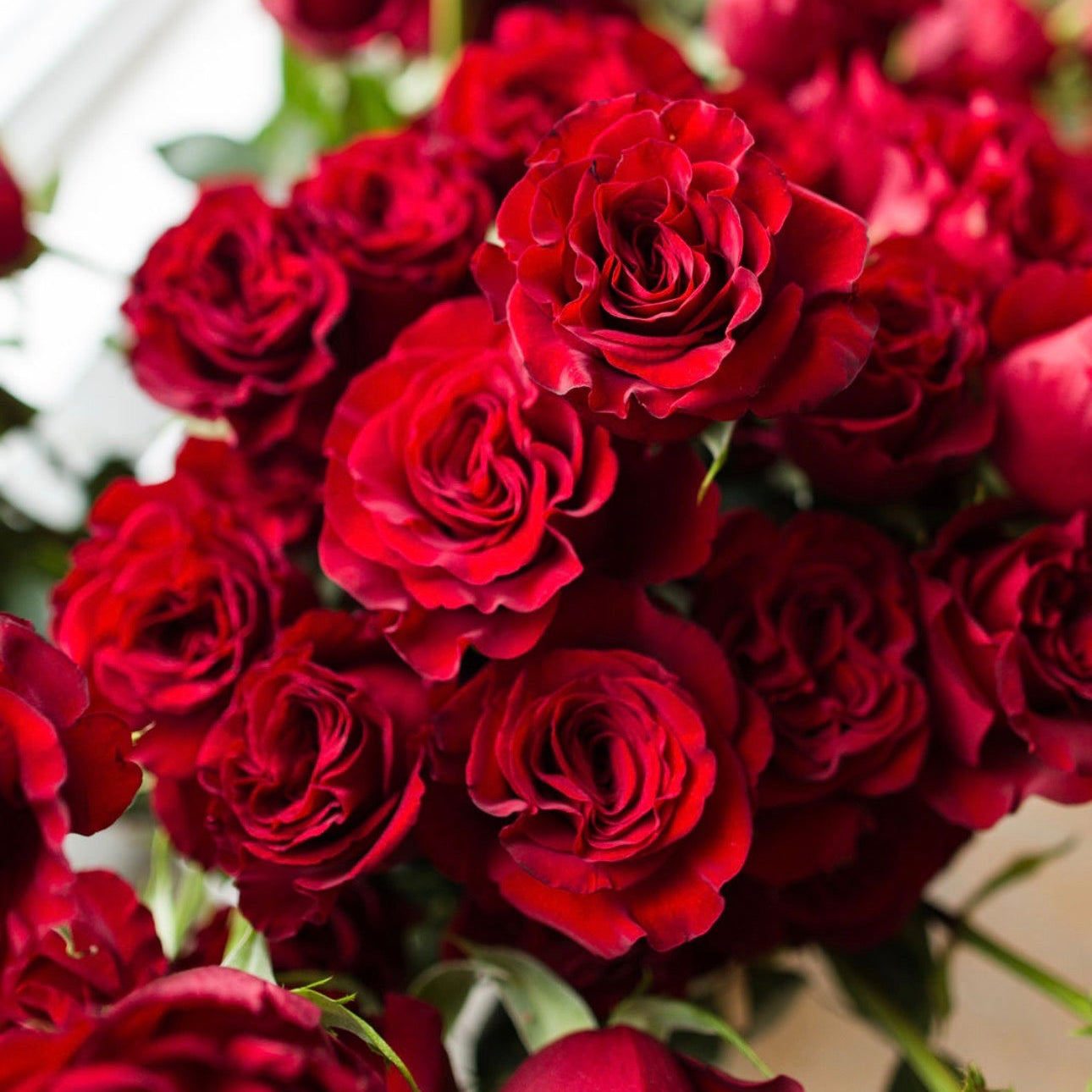 Garden Rose Bouquet “Red”